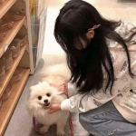 武炼巅峰满v版下载